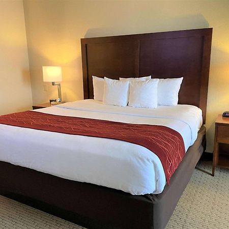 Comfort Inn & Suites Rogersville Buitenkant foto