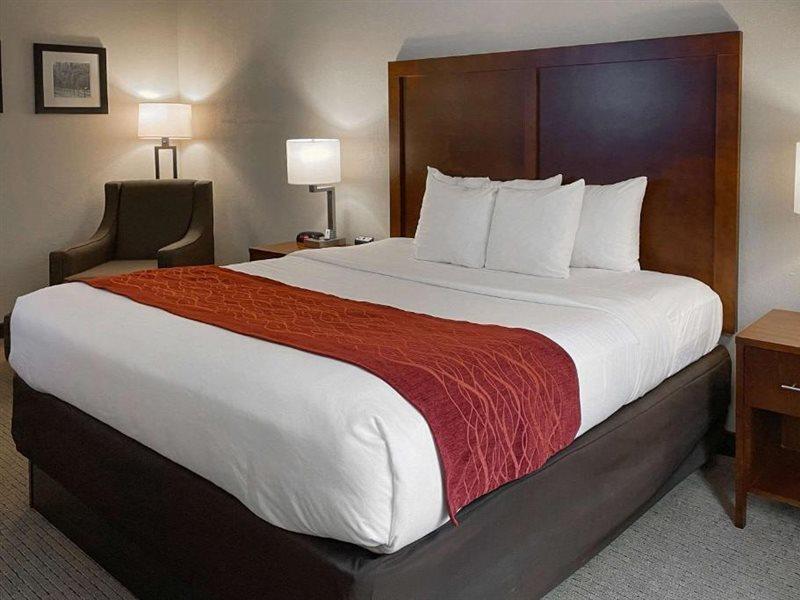 Comfort Inn & Suites Rogersville Buitenkant foto