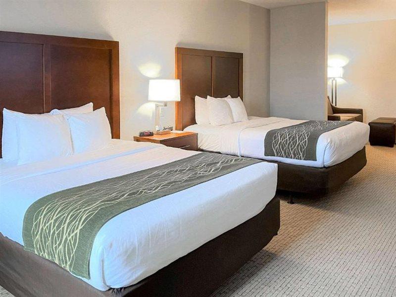 Comfort Inn & Suites Rogersville Buitenkant foto