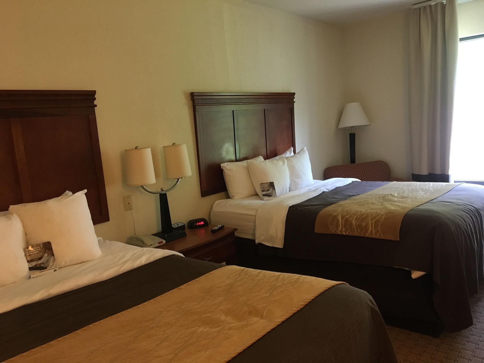 Comfort Inn & Suites Rogersville Buitenkant foto