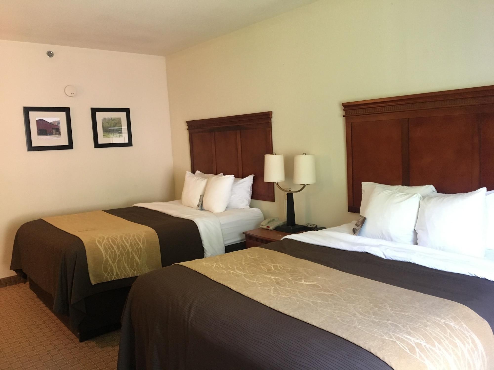 Comfort Inn & Suites Rogersville Buitenkant foto