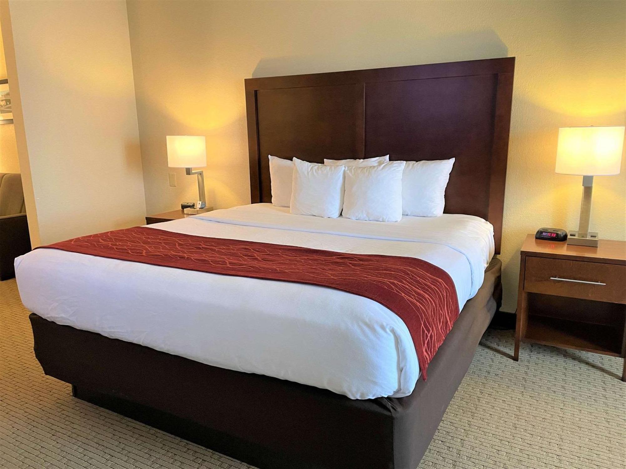 Comfort Inn & Suites Rogersville Buitenkant foto